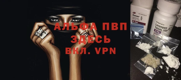 прущие грибы Сосновка