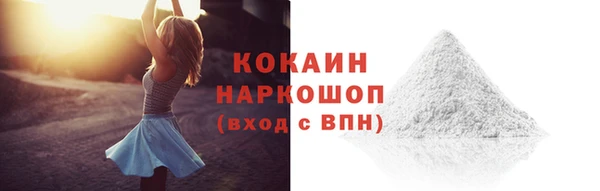 прущие грибы Сосновка