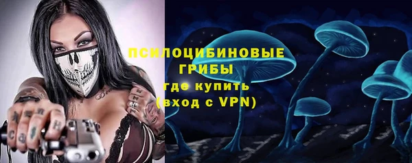 ALPHA PVP Снежинск