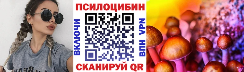 Галлюциногенные грибы мицелий  Купить  Краснообск 